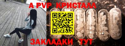 PSILOCYBIN Тулун