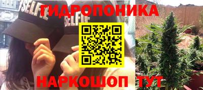 PSILOCYBIN Тулун