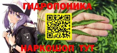 стаф Туймазы