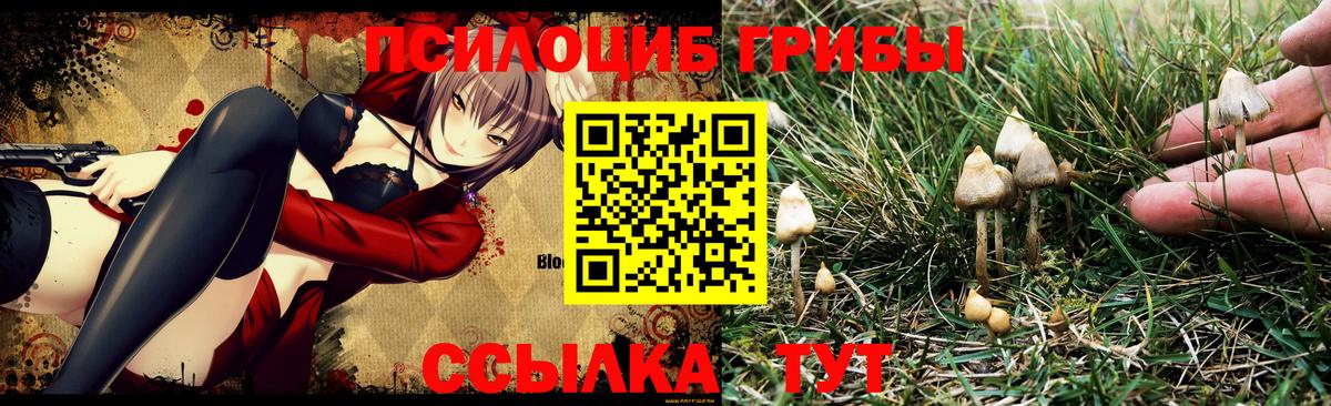 Галлюциногенные грибы GOLDEN TEACHER Муравленко