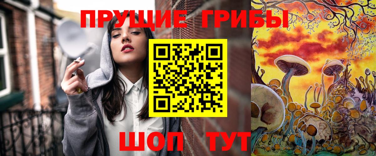 Муравленко  Галлюциногенные грибы Psilocybine cubensis  Псилоцибиновые грибы прущие грибы  Вход с VPN 